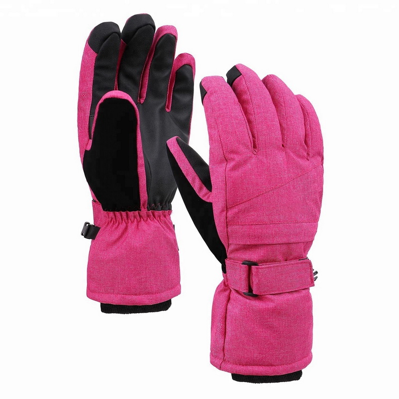 Ski Gloves